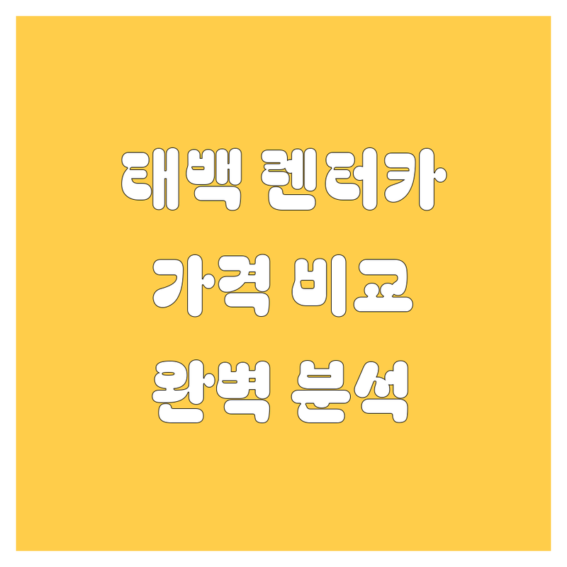 태백 렌터카 한눈에 비교 | 가격부터 서비스까지 완벽 분석