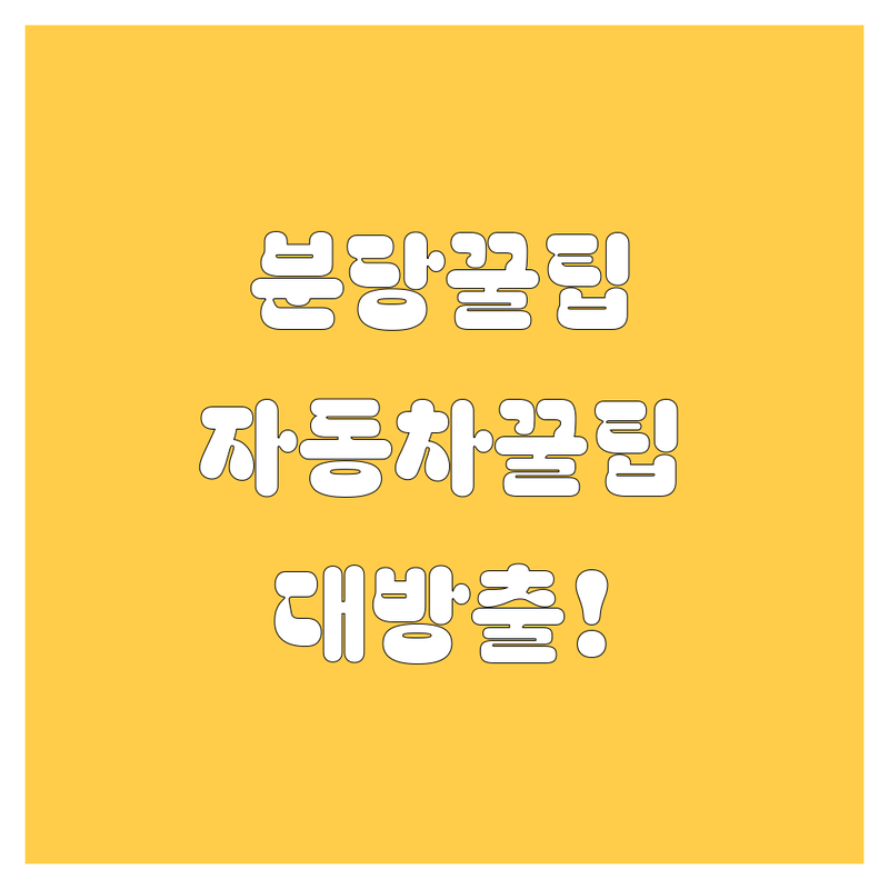분당 자동차 꿀팁 대방출!