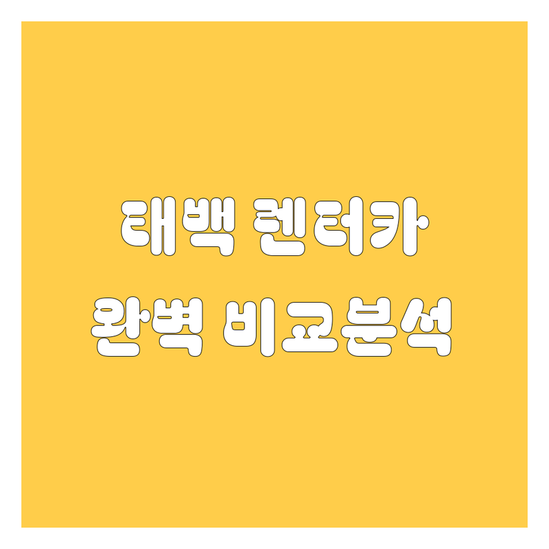 강원 태백시 렌터카 한눈에 비교 | 가격부터 서비스까지 완벽 분석