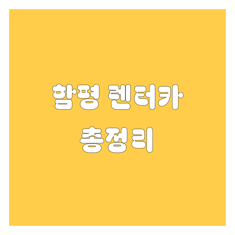 함평 렌터카 완벽 가이드 | 가격부터 서비스까지