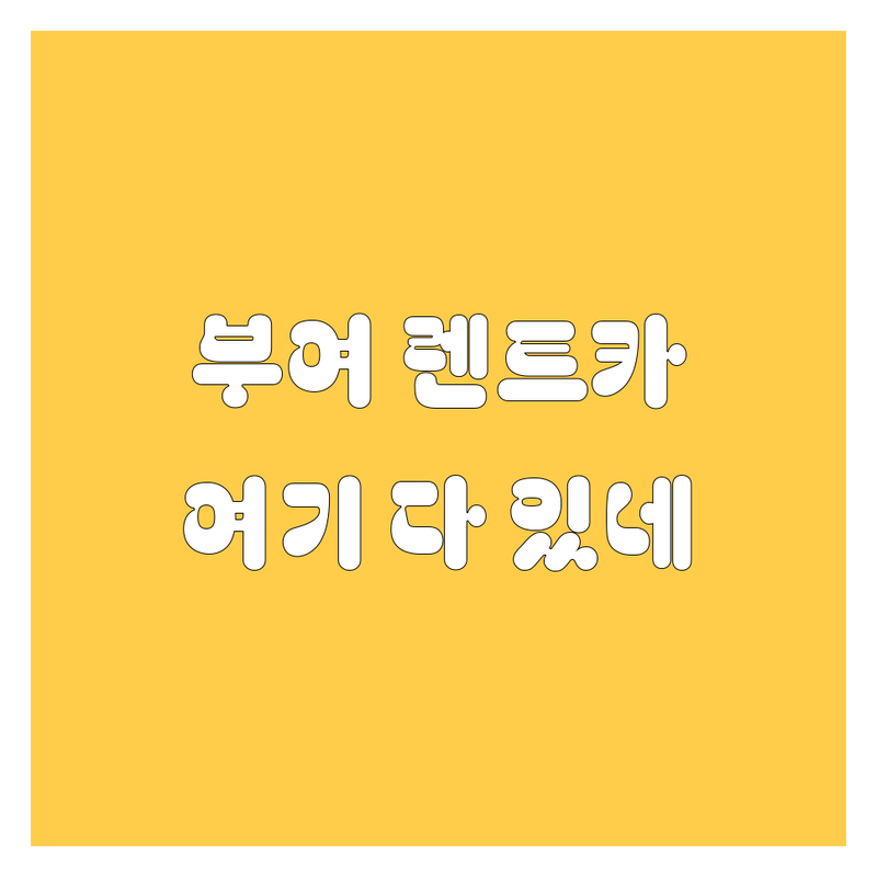 부여군 렌트카, 믿고 맡길 곳 여기 다 있네! 🚗💨