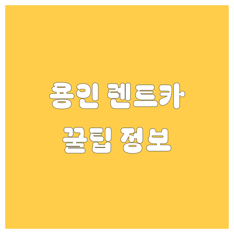 🚗 용인 렌트카 정보 모음 | 현지인이 추천하는 BEST 선택 🚗
