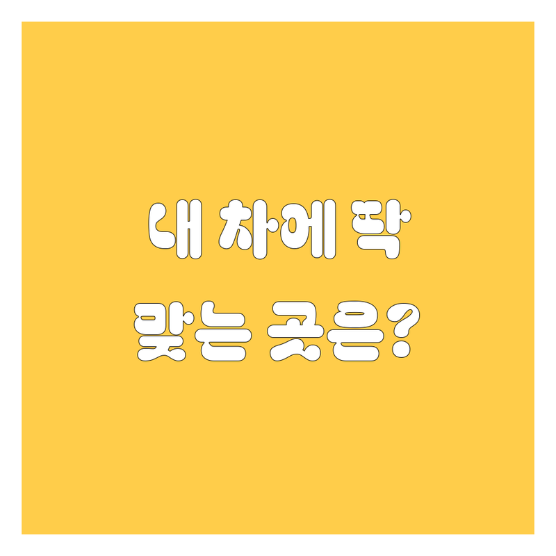 🚗 강원/경기 엔진오일, 님 차에 딱 맞는 곳은 어디? (ft. 20년 베테랑 정비사의 꿀팁 대방출) 🔧