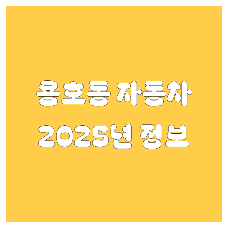 용호동 자동차 🚗 2025년 최신 정보 총정리