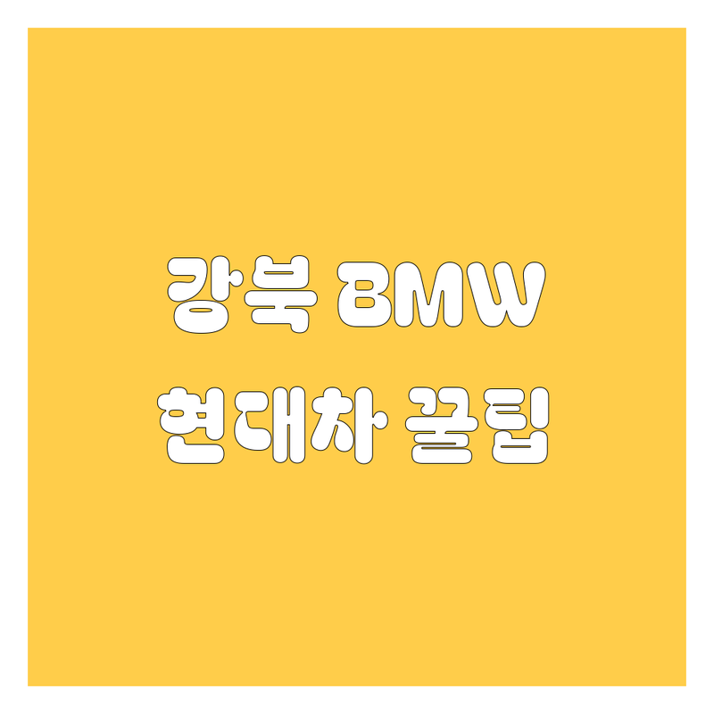 강북에서 BMW, 현대차 산다면? 😎 꿀팁 대방출!