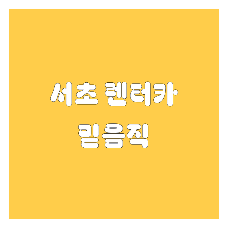 서초에서 믿을 수 있는 렌터카, 여기서 다 찾았다!