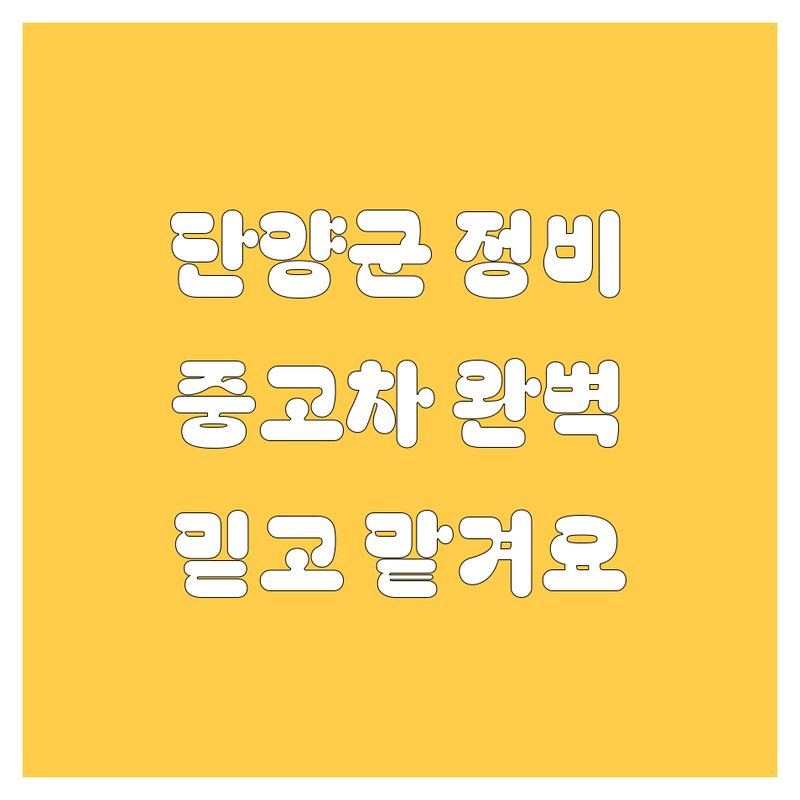 단양군 자동차 정비/중고차 완벽 가이드 🚗🔧