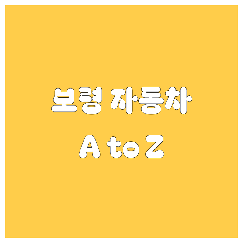 보령 자동차 완전정복! 🚗 세차부터 구매까지 논스톱 가이드