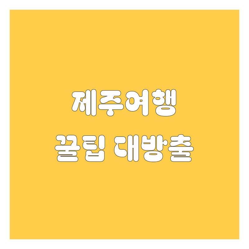제주 자동차 서비스 완전정복! 2024 최신 가이드