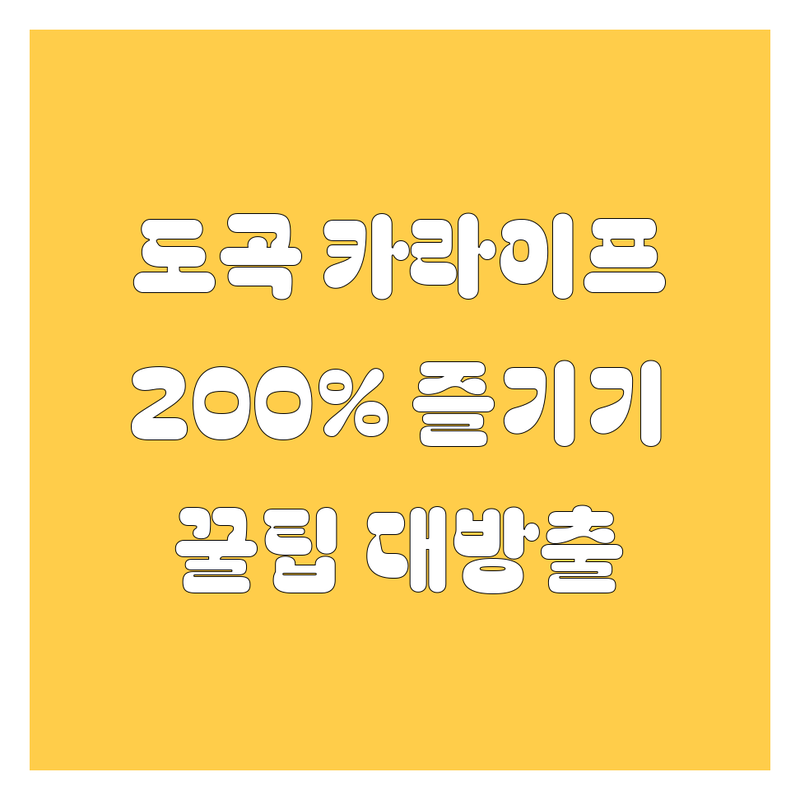 도곡 카라이프, 200% 즐기는 방법! 🚗💨