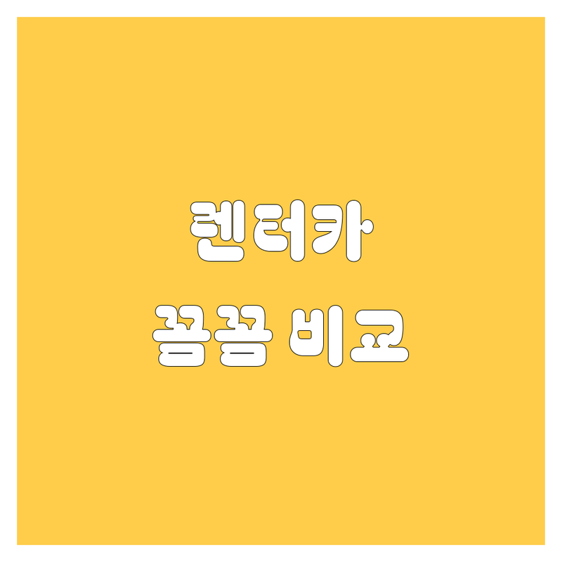 수원 렌터카, 꼼꼼 비교! 가격부터 서비스까지 완벽 분석