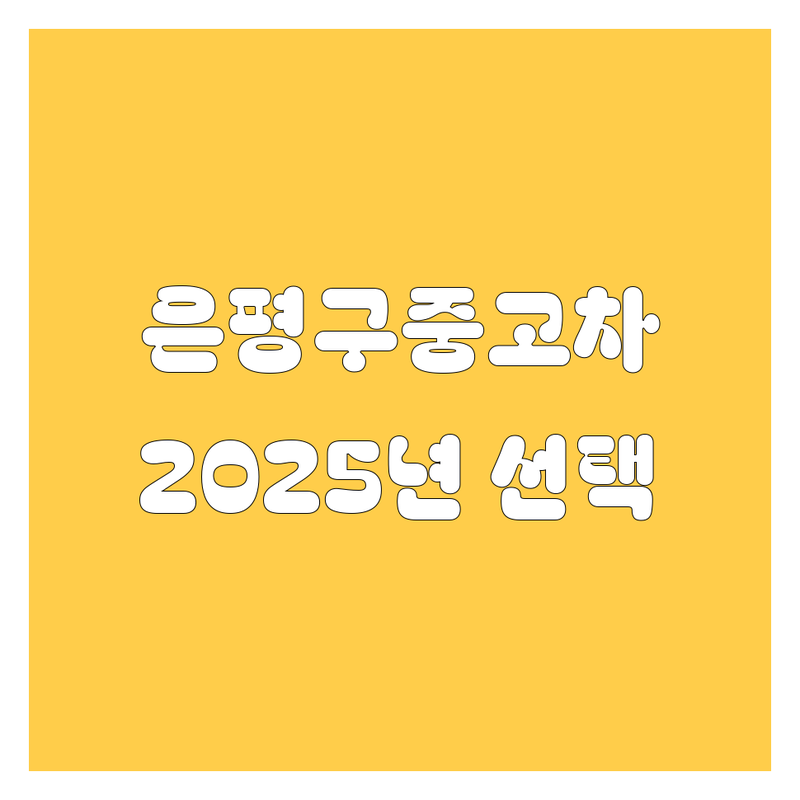 🚗 은평구 중고차, 2025년 믿음직한 선택! 💯 전문가가 콕 집어주는 비교 분석