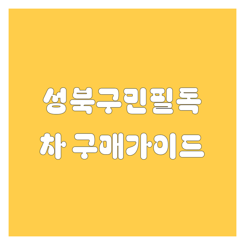 성북구 자동차 구매 가이드