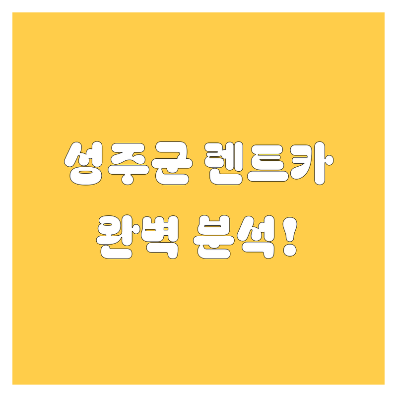 성주군 렌트카, 가격부터 서비스까지 완벽 분석!