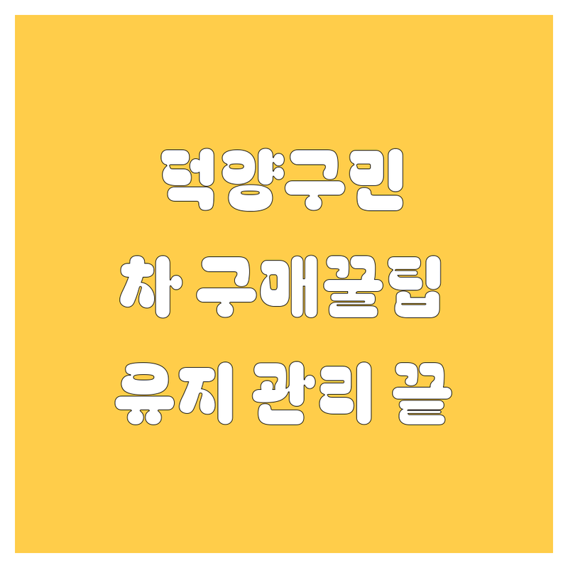 고양시 덕양구 자동차 구매 및 관리, 여기서 다 끝내자! 🚗💨
