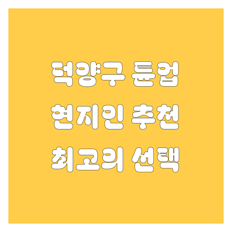 고양시 덕양구 자동차 튠업 정보 모음 | 현지인이 추천하는 BEST 선택