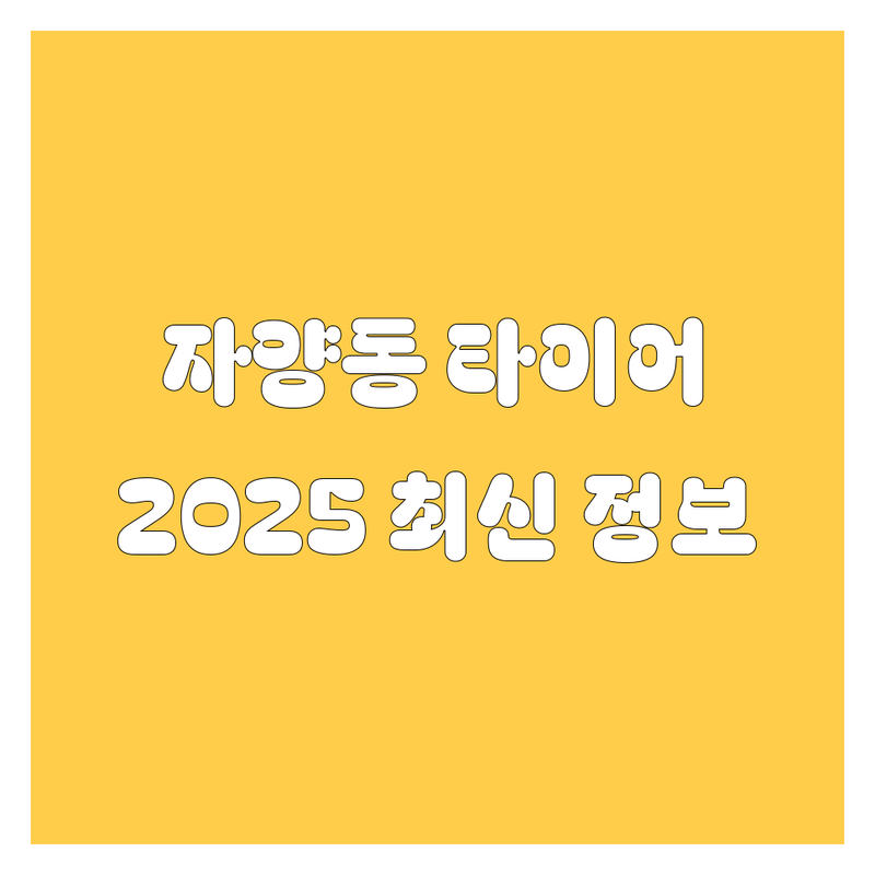 자양동 타이어, 휠, 2025년 최신 정보 총정리