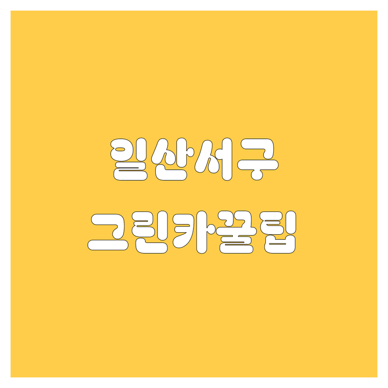 고양시 일산서구 그린카, 2024년 최신 정보 여기서 다 찾았다!