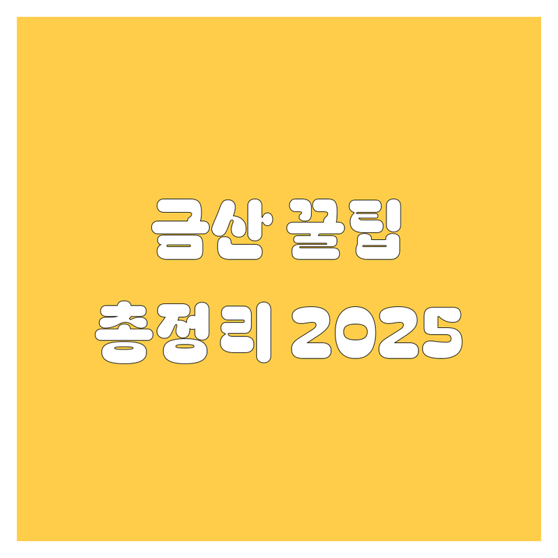금산 자동차 꿀팁 대방출! 2025년 최신 정보 총정리