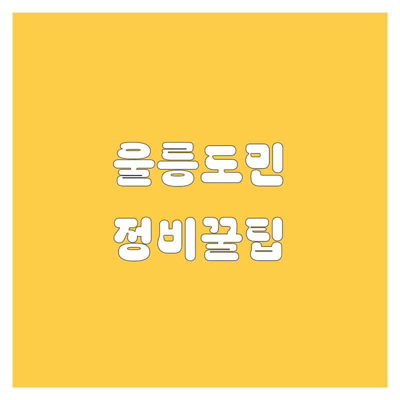 울릉도 자동차 생활, 걱정 없어요! 현지인이 추천하는 맞춤 정비 가이드
