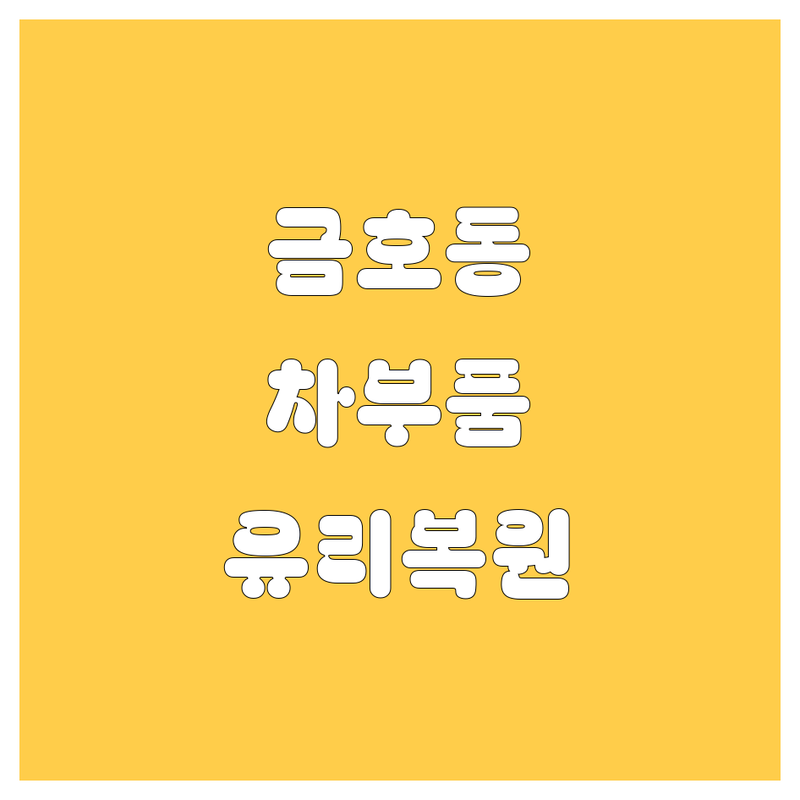🚗💨 광주 금호동 자동차 부품, 유리 복원 끝판왕 가이드 🛠️✨