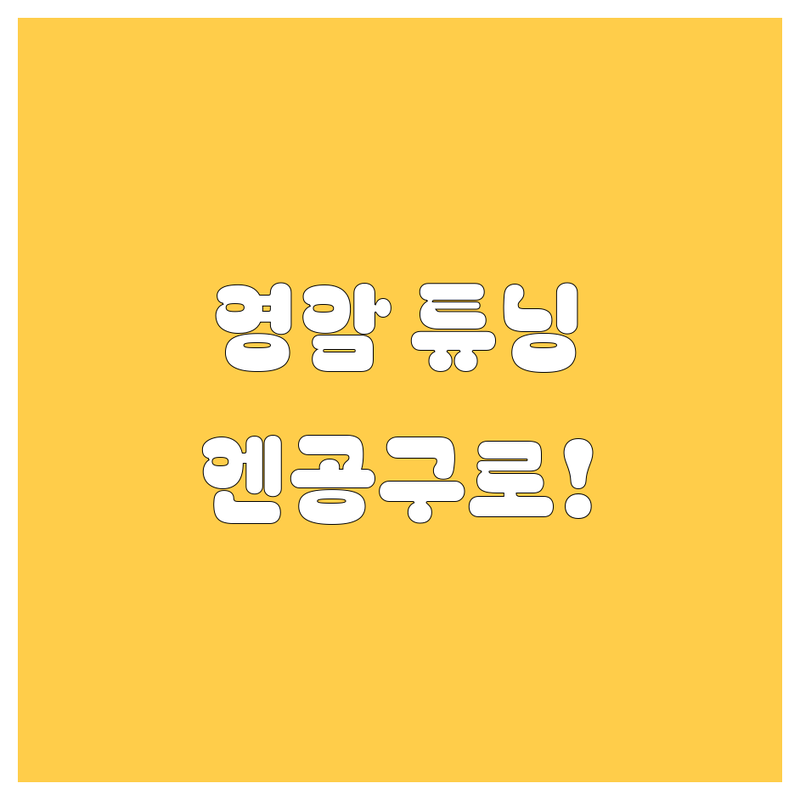 영암 자동차 튜닝, 용품, 정비는 엔공구 영암점에서!