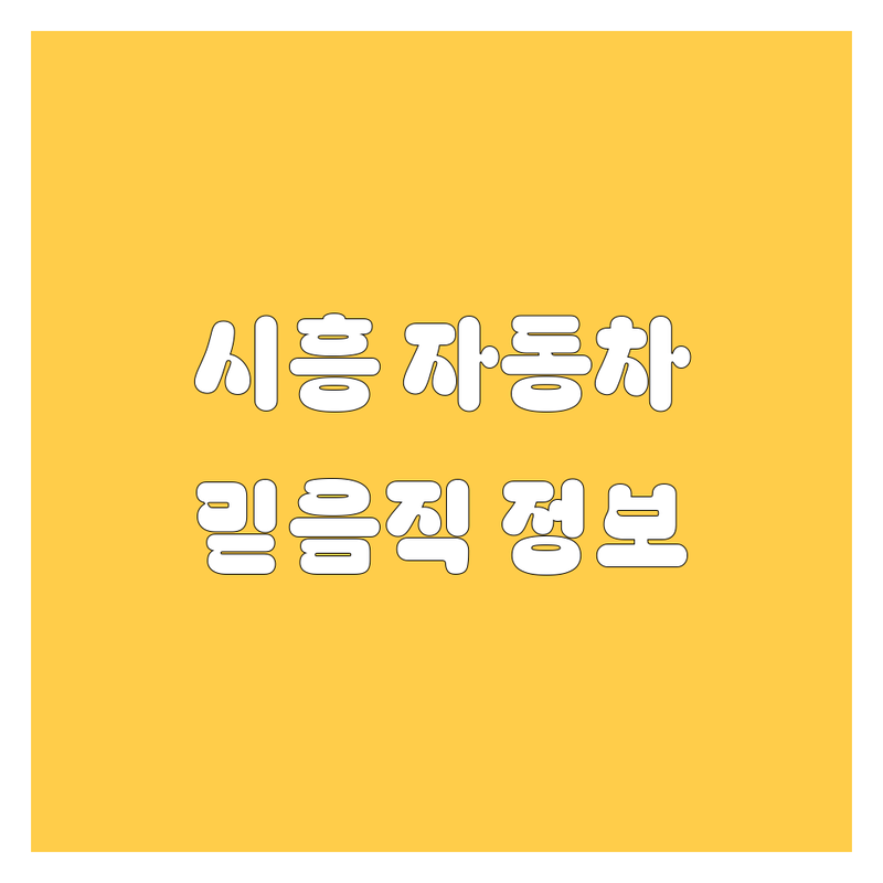 시흥에서 찾은 믿음직한 자동차 정보! 🚗 | 꼼꼼 리뷰 포함