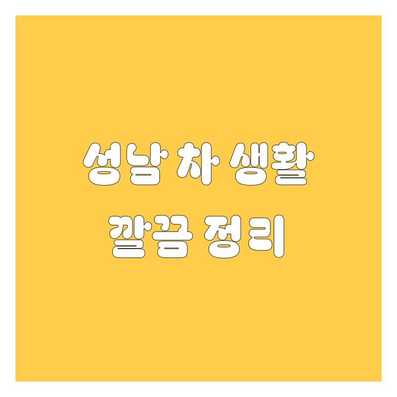 🚗 성남 자동차 생활, 깔끔하게 정리해 드립니다! 😎