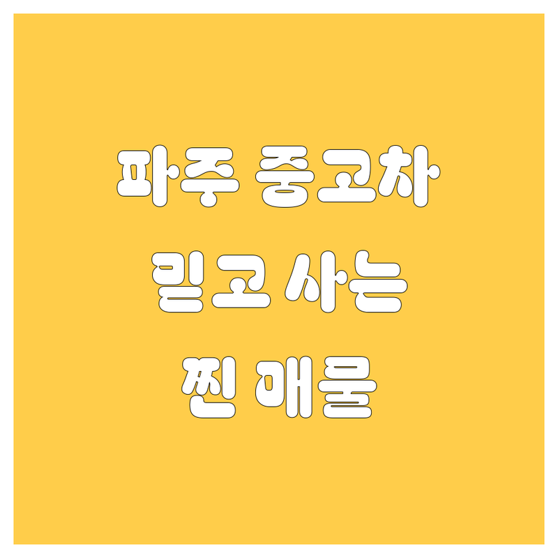 🚗 파주 중고차, 2024년 믿고 사는 찐 매물 대방출! 💰