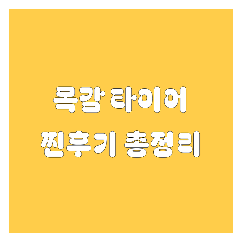 시흥 목감 타이어 교체, 어디서 갈아야 잘 갈았다고 소문날까? 😎 | 2024 찐후기 총정리