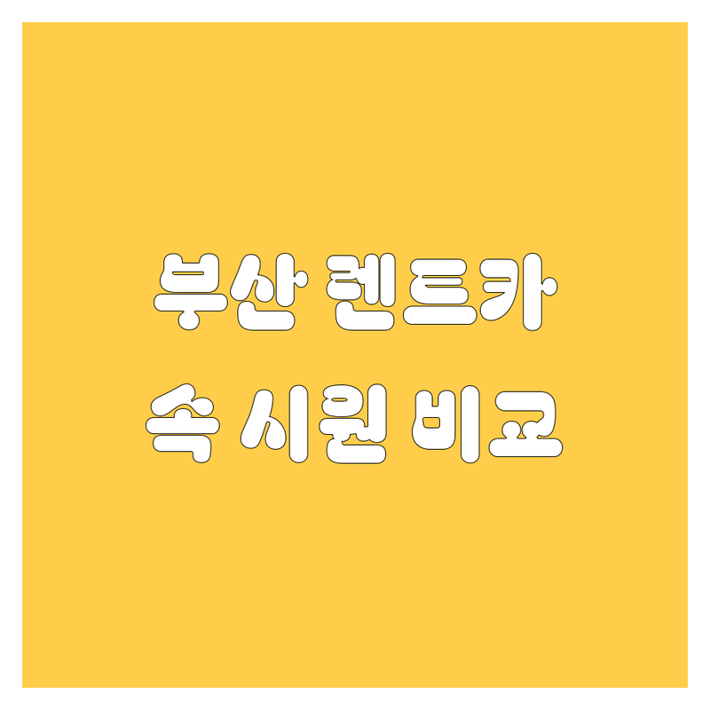 부산 렌트카, 가격부터 서비스까지 속 시원하게 비교 분석! 🚗💨