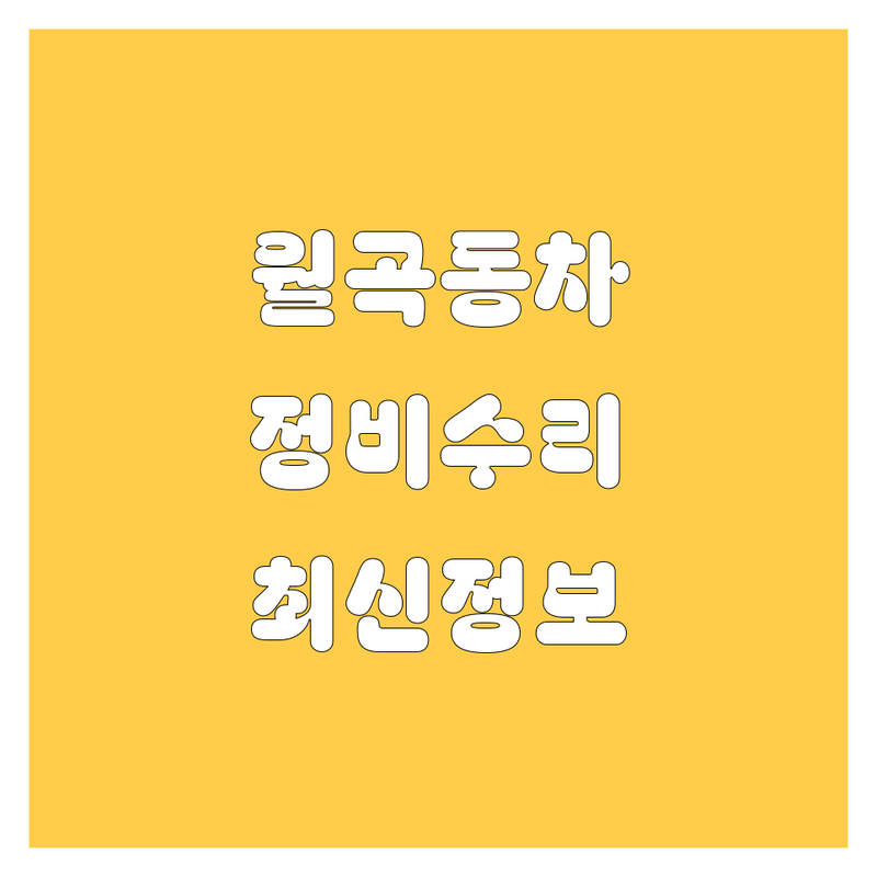 월곡동 자동차 정비, 수리, 세차, 판매 2024 최신 정보