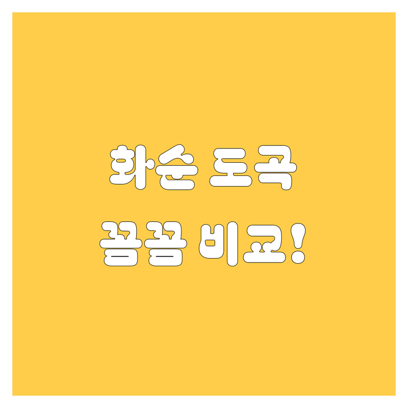화순 도곡 자동차, 꼼꼼 비교! 전문가가 추천하는 최고의 선택 👍