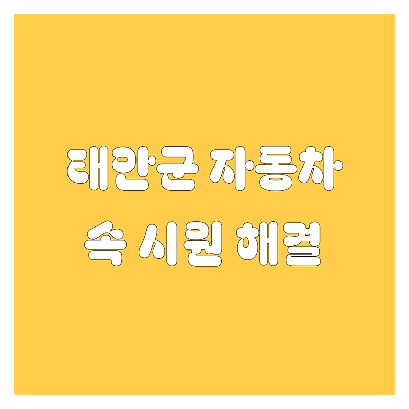 태안군 자동차 꽉 잡았다! 주유부터 정비까지 속 시원한 해결책 🚗🔧