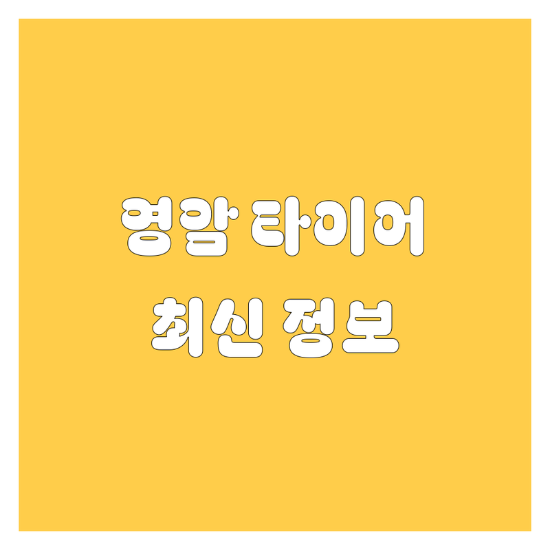 영암군 타이어 교체, 2024-2025년 최신 정보 총정리