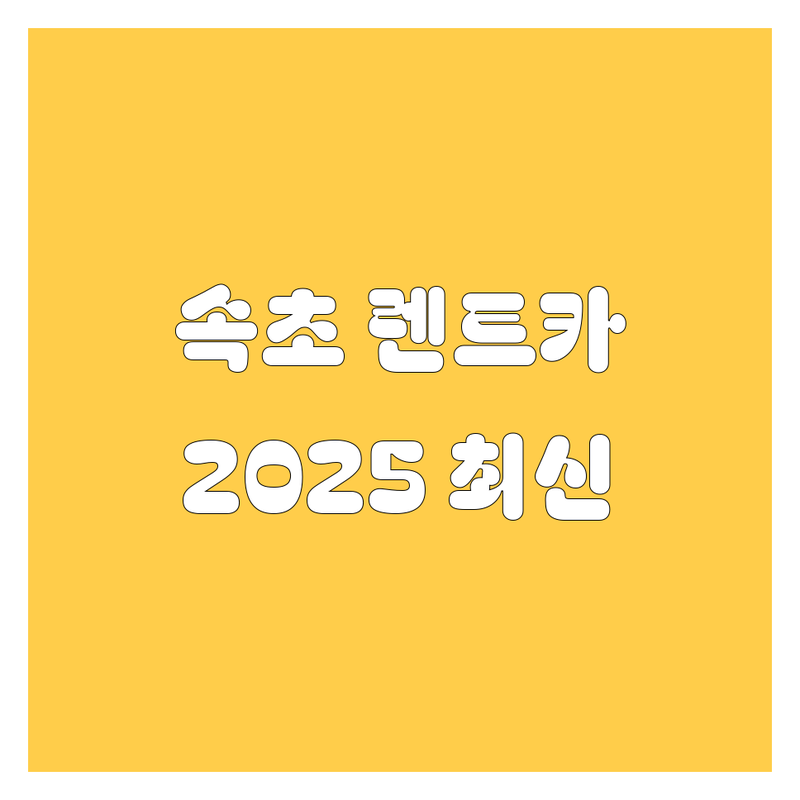 속초 렌트카, 2025년 최신 정보 총정리! 🚗💨