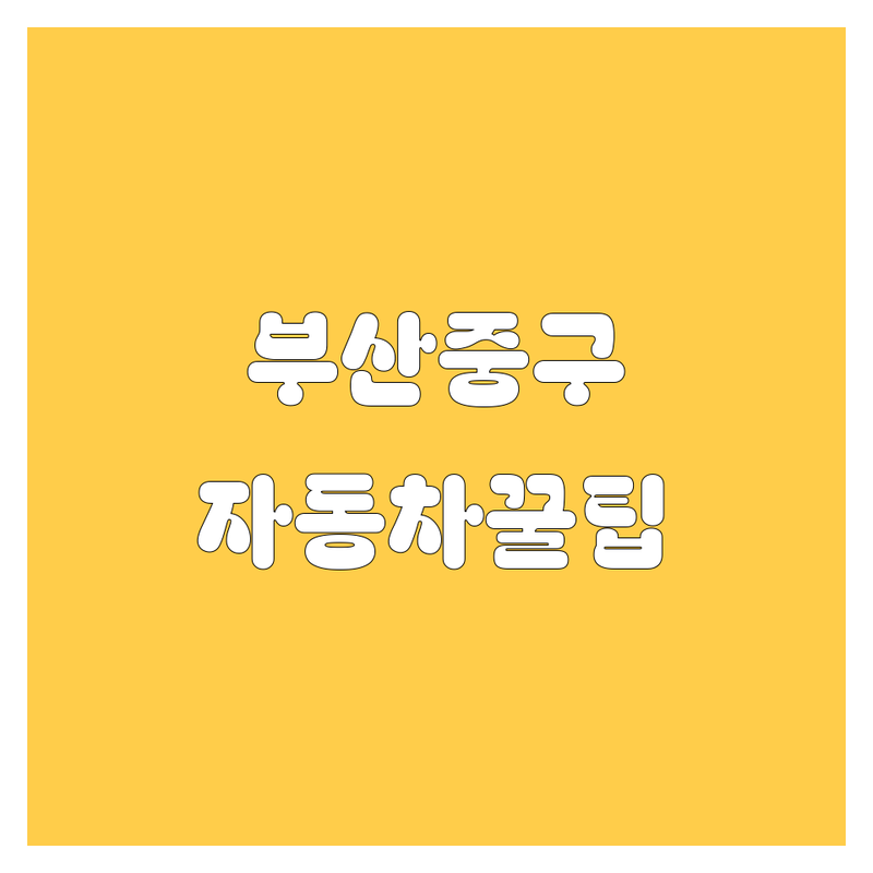 부산 중구 자동차 정보 모음 | 현지인이 추천하는 BEST 선택