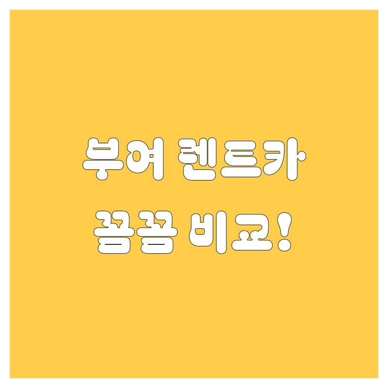 부여 렌트카, 어디서 빌려야 후회 없을까? 가격부터 서비스까지 꼼꼼 비교!