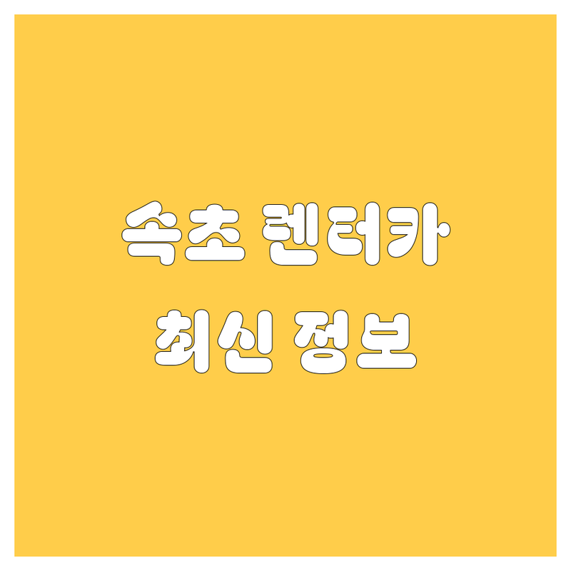 속초시 렌터카 완벽 가이드 | 2024-2025 최신 정보 총정리