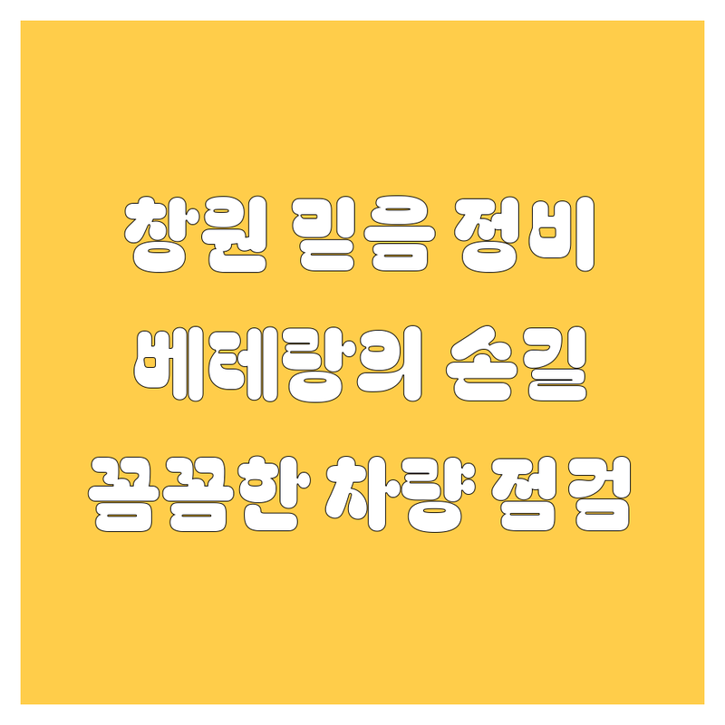 창원 자동차 전문가 추천