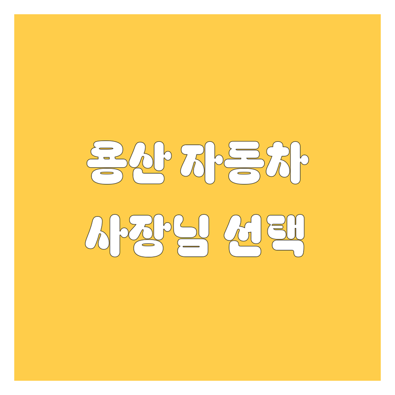 용산 자동차 찐정보 모음 | 사장님 피셜 BEST 선택 😎