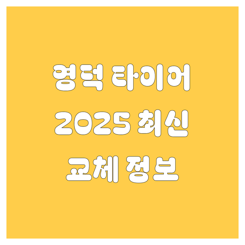 영덕 타이어 교체, 2025년 최신 정보 총정리