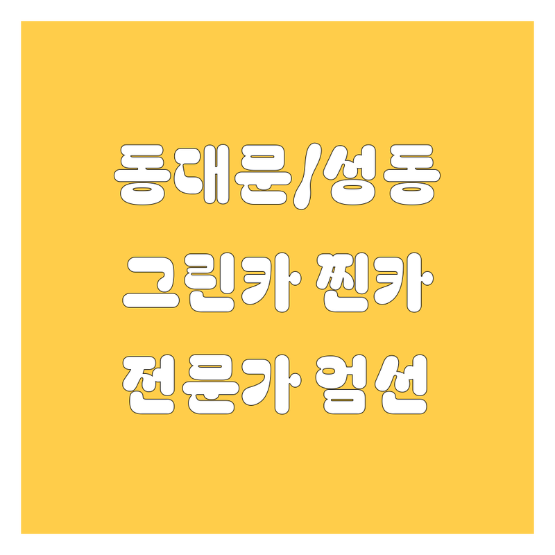 서울 동대문구/성동구 그린카 찐카 전문가 엄선!