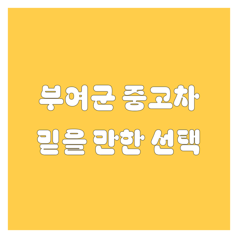 부여군 중고차, 2024년 믿을 만한 선택!