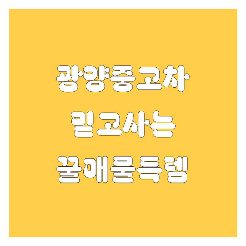 🚗 광양 중고차, 믿고 사는 꿀매물 여기서 득템! 💯