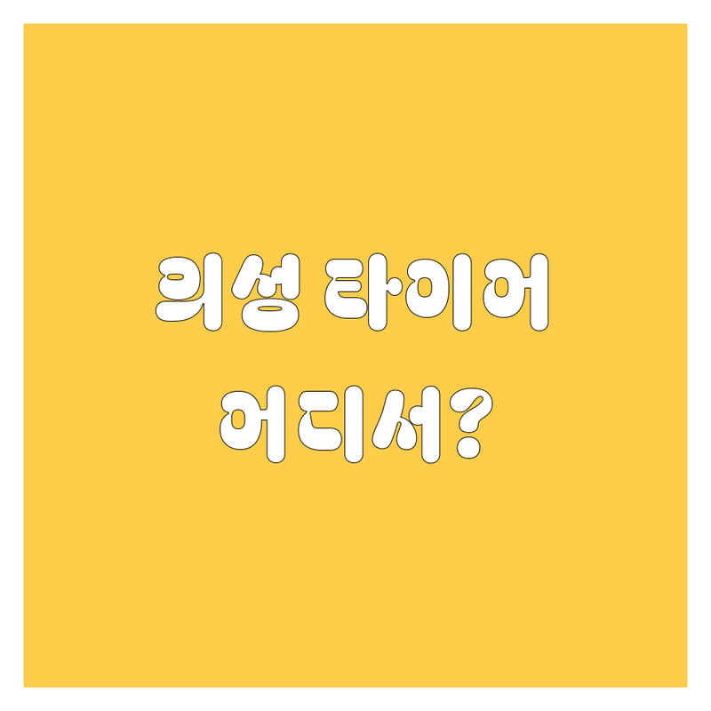 의성군 타이어 교체, 어디서 해야 후회 없을까? 🚗💨 현지인이 꼼꼼 비교!