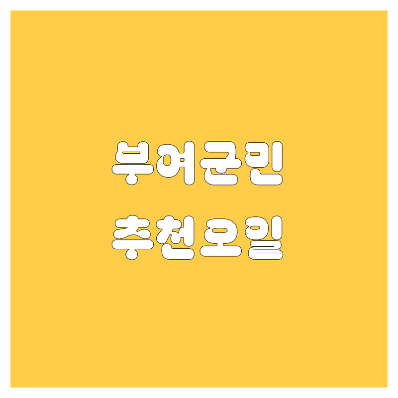 부여군 엔진오일 정보 모음 | 현지인이 추천하는 BEST 선택