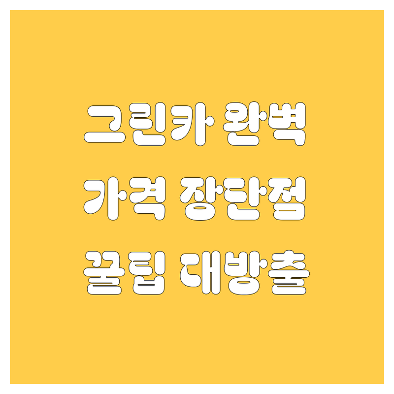 놓치면 후회! 그린카 완벽 해부: 가격, 장단점, 꿀팁 대방출 🚗💨