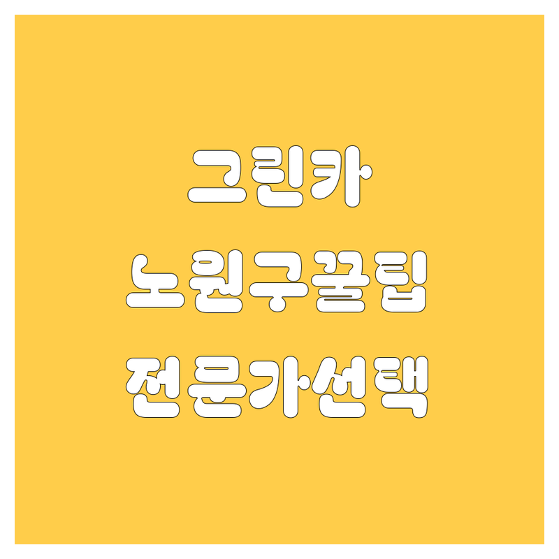 🚗 그린카 고민 해결! 서울 노원구 그린카 관련 업체 솔루션 | 전문가가 알려주는 선택 팁