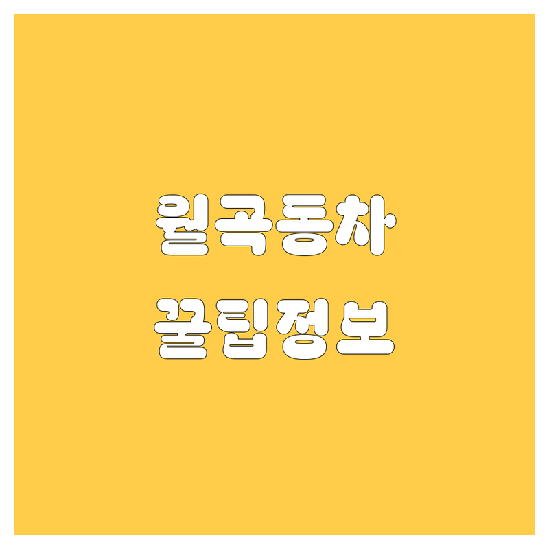 광주 월곡동 자동차 정보 모음 | 현지인이 추천하는 BEST 선택